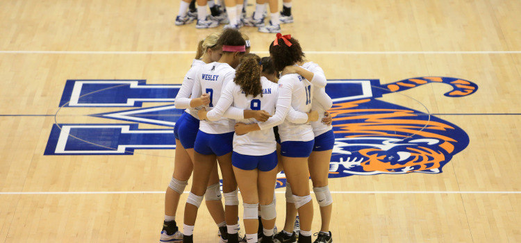 Tiger Volleyball Camp