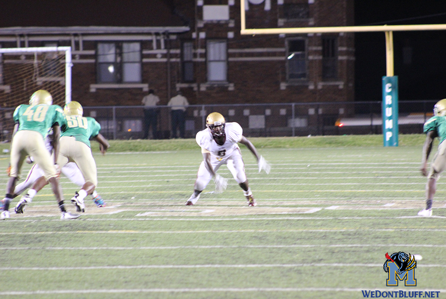 Melrose 2016 Jamboree (7)